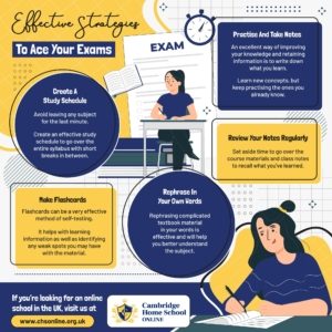 Effective Strategies To Ace Your Exams