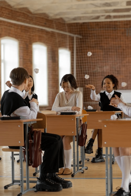 a student being bullied by her peers