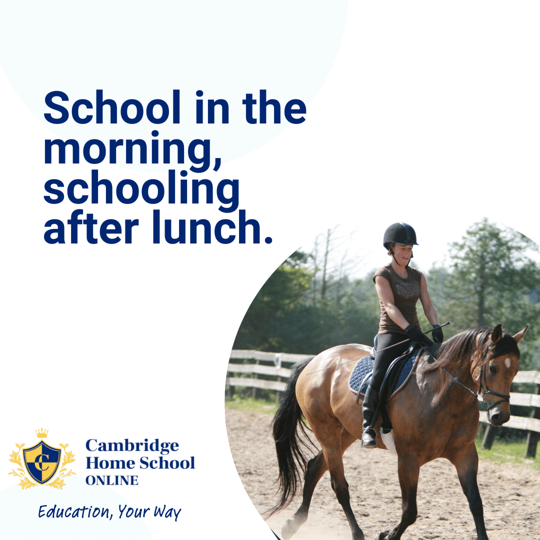 Image shows a horserider in a riding school with the text 'School in the morning, schooling after lunch', demonstrating the versatility of online schooling for horseriders and providing a  title for the blog post 'The Rise of Online Schooling in the Equestrian Community'