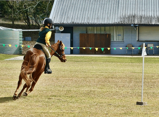 young girl horse-riding